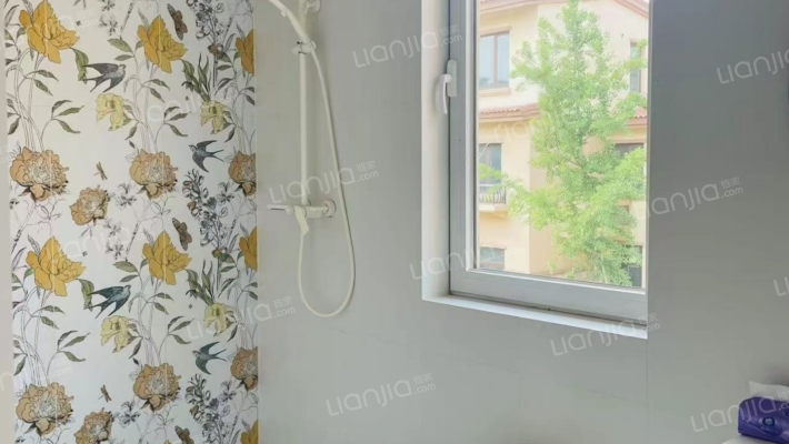 爱伦堡 精装修 直接入住 房本满二-卫生间A