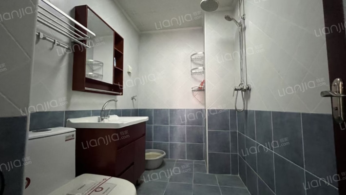 涿州码头温莎假日高层全南两居室-卫生间