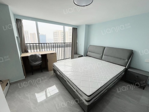 整租·宝龙广场 1室1厅 南