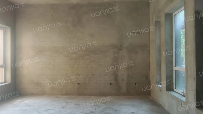 东京都双拼别墅  把边户院子大-客厅