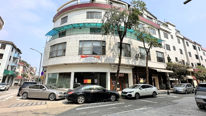 大良单家新桂居委会二手房实景图