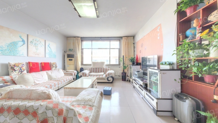 金质公司家属院二手房实景图