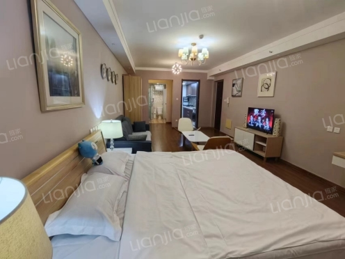 整租·龙湖葡醍海湾 1室1厅 南/北