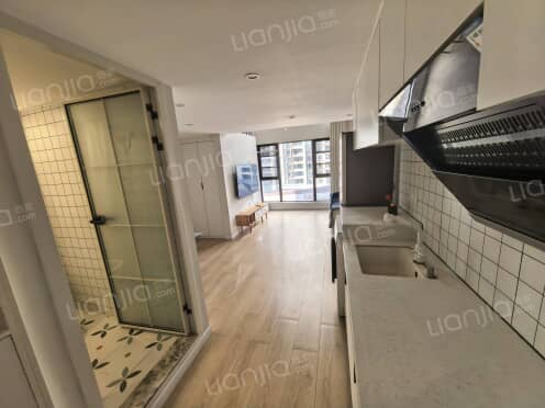 整租·星悦汇 2室1厅 北