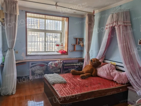 整租·龙湖景园 2室2厅 南