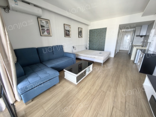 整租·华润小径湾二期 1室1厅 南