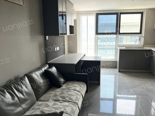 整租·龙湖新壹城 1室1厅 LOFT 东