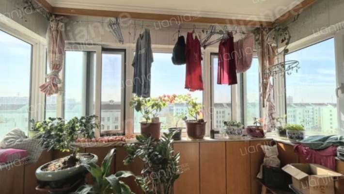 新安小区 3室2厅 南-阳台