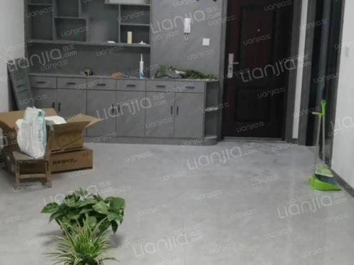 整租·仪凤新区三期 3室2厅 南/北