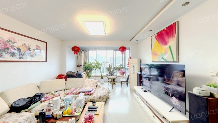 成电花园桃源苑二手房实景图