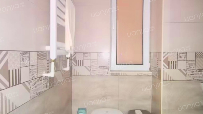 桃源新都孔雀城 3室2厅 南 北-卫生间B