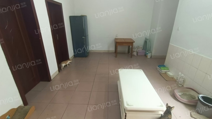 观音阁社区二手房实景图