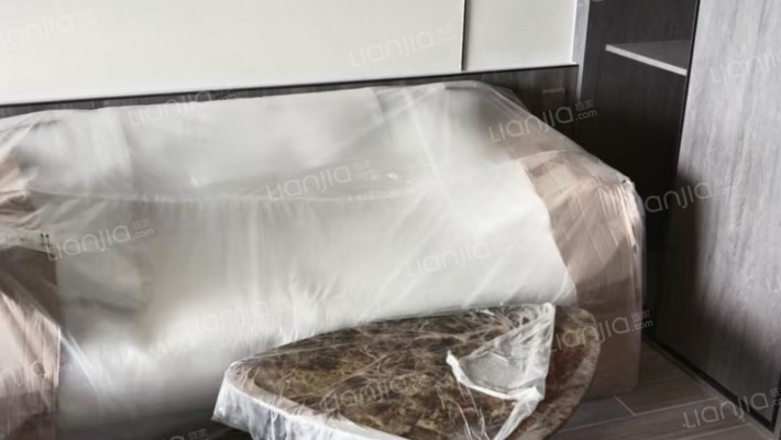 神州小镇(阿拉莫纳小镇)二手房实景图