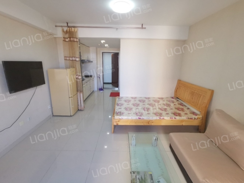 整租·金宇新天地 1室1厅 东