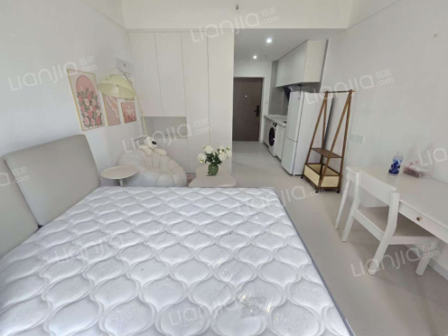 整租·合能橙中心 1室1厅 东南