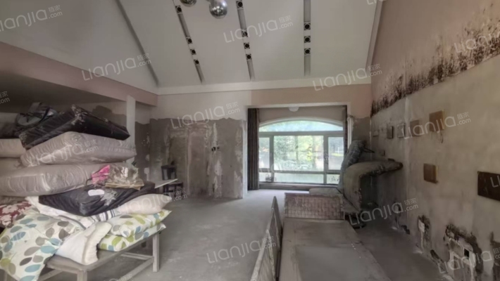 东京都高尔夫 临水 独栋别墅 大院子 好户型-客厅