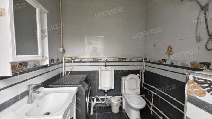 晨光路独院业主急售 带两间临街门面房-卫生间