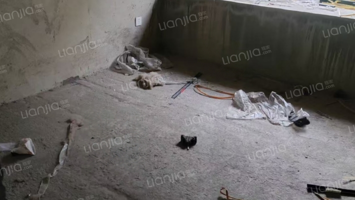 天成枫华丽致二手房实景图