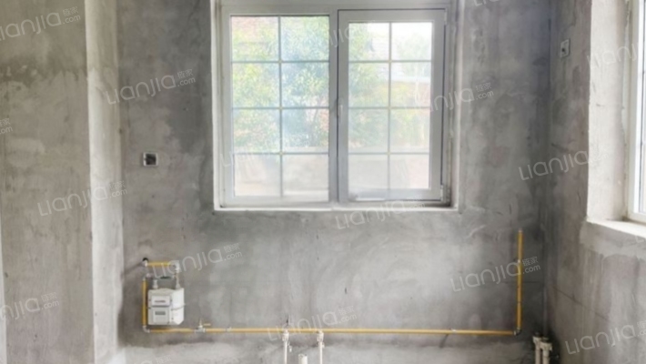 柏林顿水郡 独栋别墅 毛坯 大院子 边户-厨房