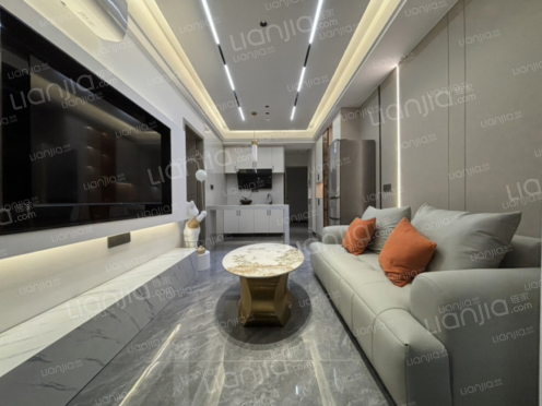 整租·金辉观澜云著A区 1室1厅 西南