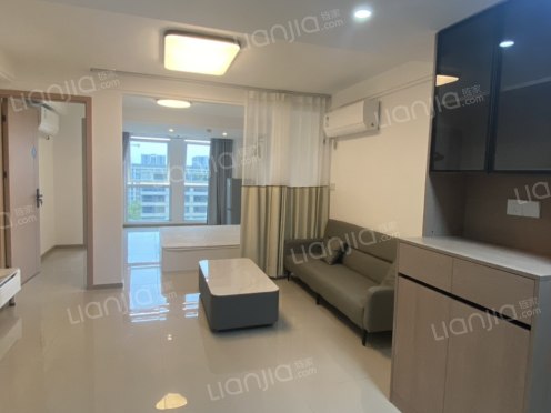 整租·旭辉紫都 1室1厅 南