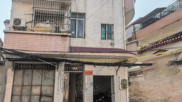 伦教三洲单家二手房实景图