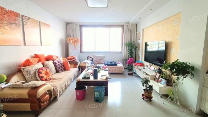 外国语学校教师公寓二手房实景图
