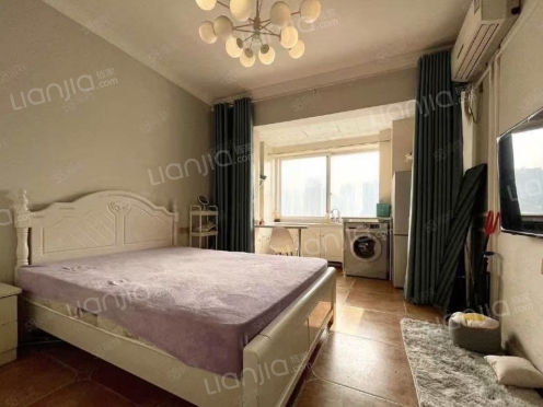 整租·盛世银座 1室0厅 南