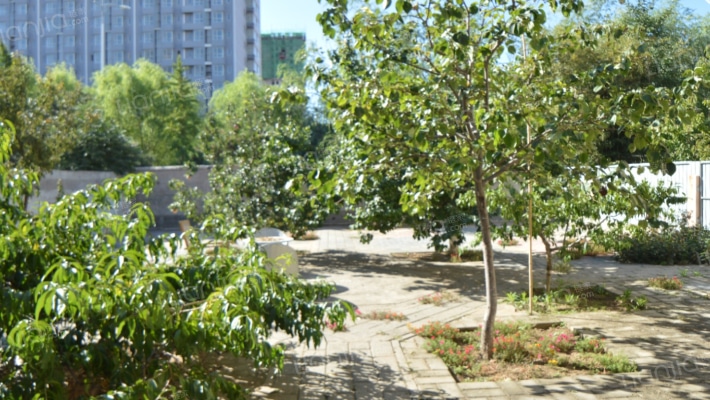 独栋别墅 带装修，看房方便，北二环-露台