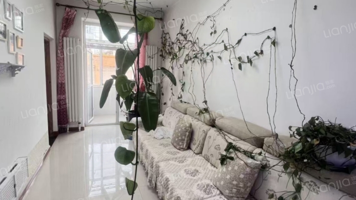 防疫站小区(双城)二手房实景图