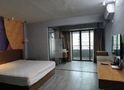 整租·百年荟•城市广场 1室0厅 南_百年荟•城市广场租房