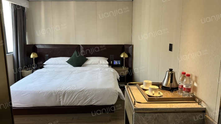 新标榜休闲度假酒店二手房实景图