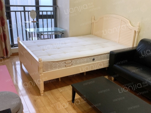 整租·东原D8公馆 1室0厅 南