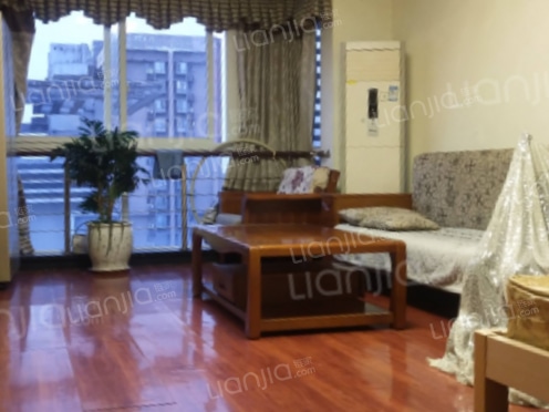 整租·金都会 1室1厅 南