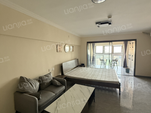 整租·旭辉紫都 1室1厅 东