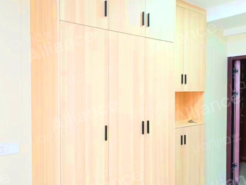 整租·友豪国际 1室1厅 东南