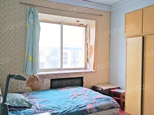 整租·松北一区 1室1厅 南