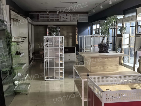 整租·金科visar国际 1室0厅 南