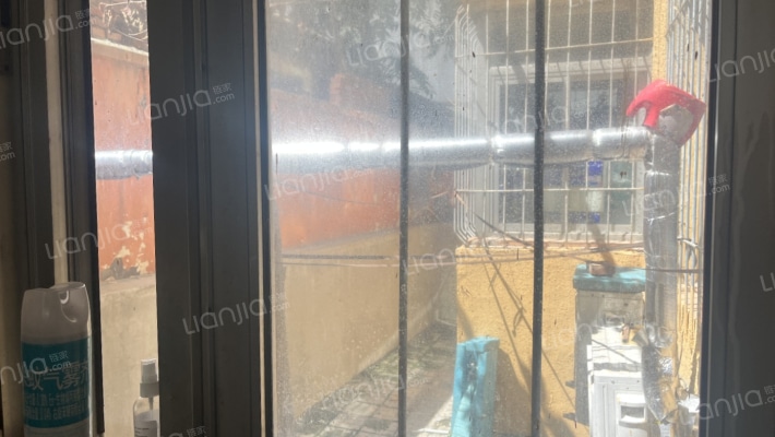 医药公司南院 南向朝阳 一层带小院-花园