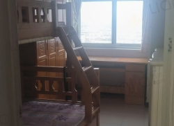 整租·鑫金国际 2室1厅 南_鑫金国际租房