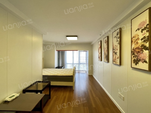 整租·中南玖宸公寓 1室1厅 西北/北