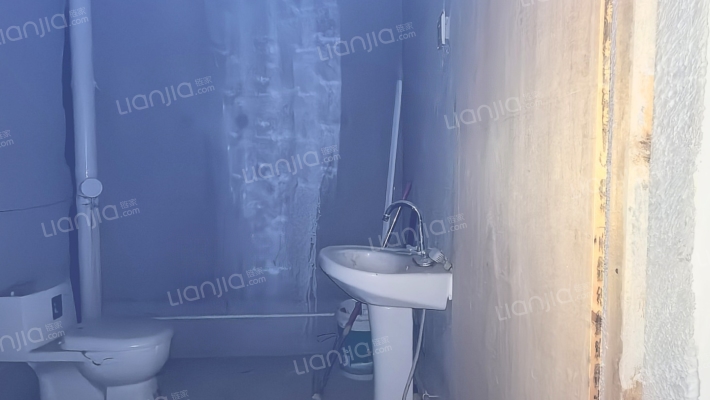 单位房 公摊小 大平层 三居双卫 毛坯房随意装修-卫生间B