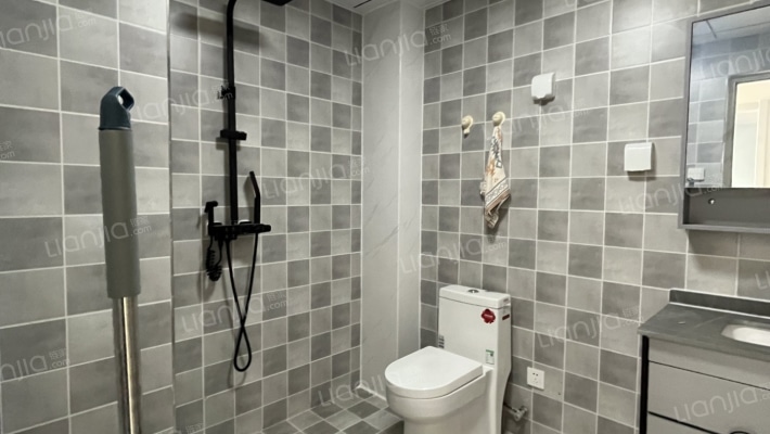 金域中央 2室2厅 南-卫生间