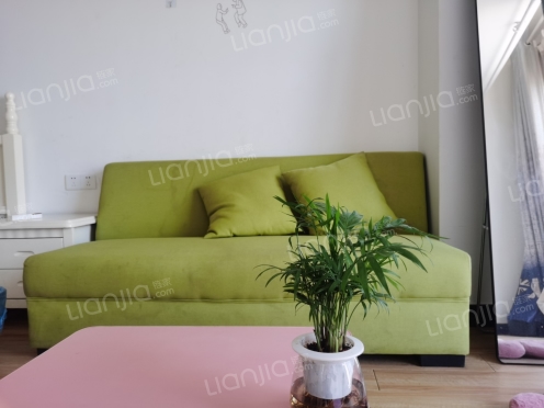 整租·万达晶座 1室1厅 南