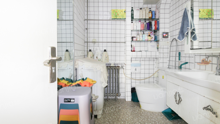 独立两室 使用面积大 简单装修 总价低-卫生间