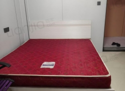 整租·大坪北路 1室0厅 南/西南_大坪北路租房