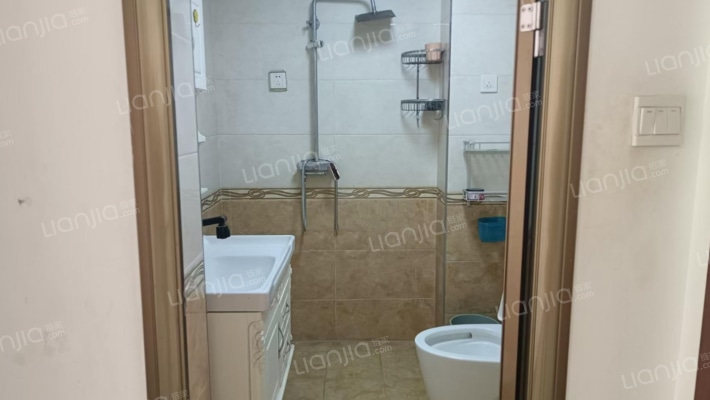 水岸花城，一线河景美宅，标准现房，即买即住-卫生间