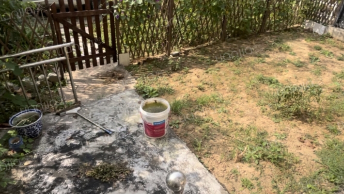 房本满五年精装修电梯洋房一梯两户适合居住-花园