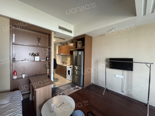 整租·环球金融城 1室1厅 南