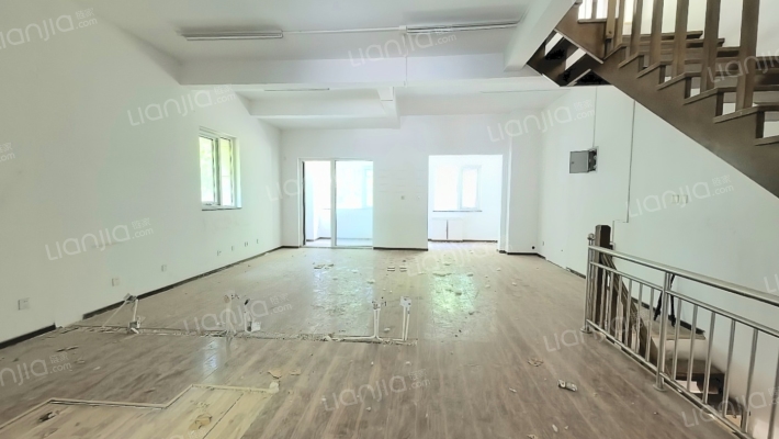 高铁板块，联排别墅，下沉花园，私家车库-客厅B